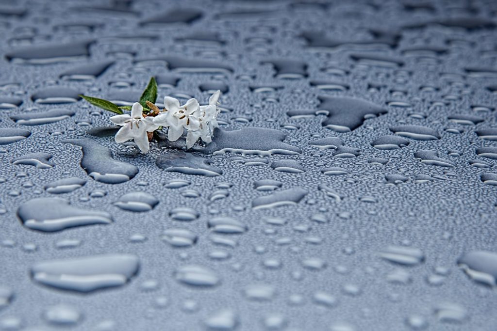 Temporada de lluvias protege tu patrimonio