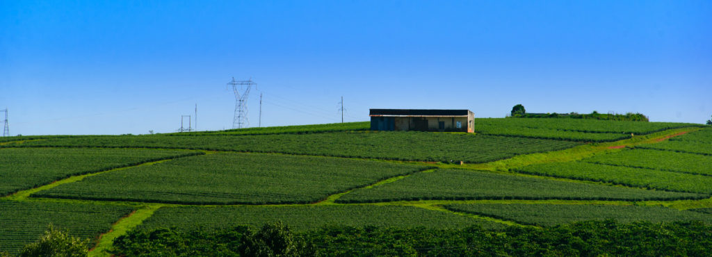 Terrenos pendiente